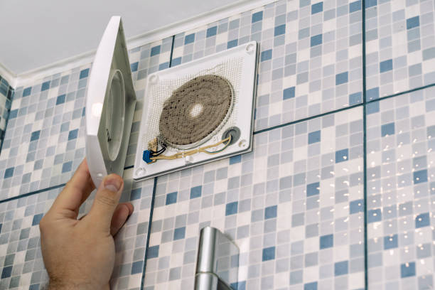 Best Air Vent Cleaning Services  in Murphysboro, IL
