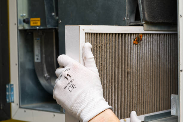 Best Ductwork Cleaning Services  in Murphysboro, IL