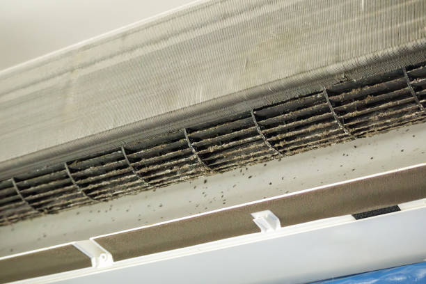 Best Local Air Duct Cleaning Services  in Murphysboro, IL